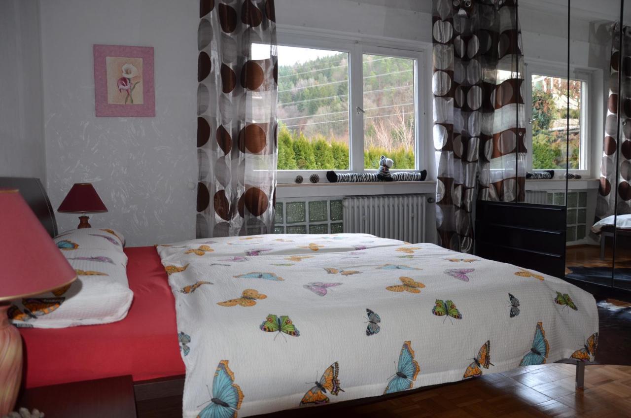Ferienwohnung Klock Weisenbach Extérieur photo